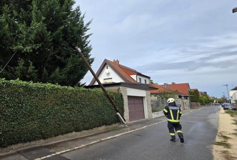 Einsatzdokumentation, Bild 5
